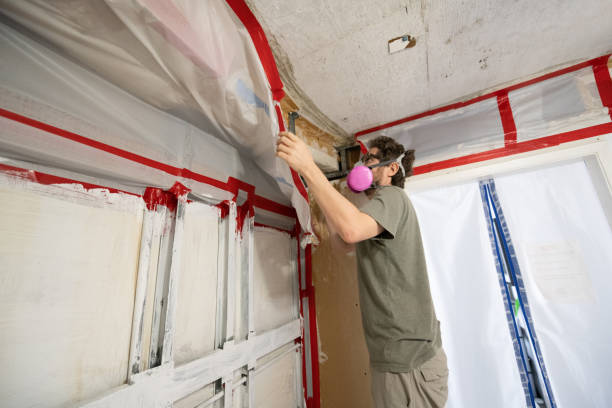 Best HVAC Mold Inspection and Cleaning  in Washington Terrace, UT
