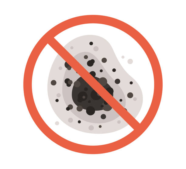 Best Mold-Related Health Consultation  in Washington Terrace, UT